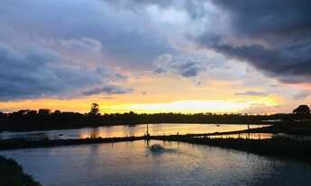 Imagem 7: Fazenda na região do Aguaçu - Cuiabá - MT
