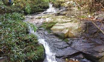 Imagem: Chácaras de 3mil mt com córrego nao perca