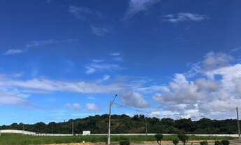 Imagem 5: Vendo lotes no Buena Vista Village - (Nas margens da BR 101