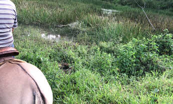 Imagem 3: Sitio 3 alqueiros em Itambacuri