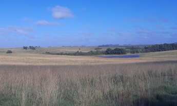 Imagem 6: Fazenda 1080 hec. à venda com casa 3 dormitórios cod:10211