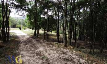 Imagem: Chácara para Venda em Campo Largo, Estrada