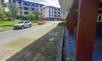 Imagem 4: Vendo apartamento no CJ Jardim Califórnia, Pq 10