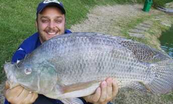 Imagem 6: Vendo Sítio situado a 2 km do centro de Dias Dávila