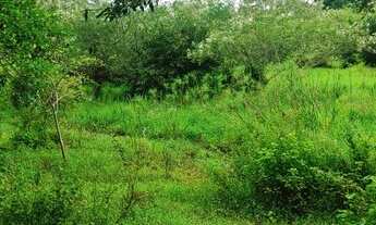 Imagem: Terreno padrao PINGO DE OURO GUARATINGUETA