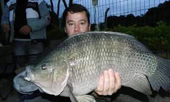 Imagem 5: Vendo Sítio situado a 2 km do centro de Dias Dávila