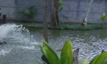 Imagem 2: Vendo Sítio situado a 2 km do centro de Dias Dávila