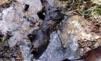 Imagem: Vende se chácara direto com o proprietário