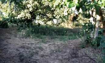 Imagem: Sitio com 1.5 Alqueires em São Sebastião