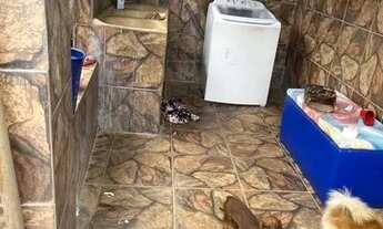 Imagem 5: Fundo de casa para festa de trindade