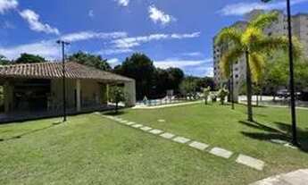 Imagem 3: Apartamento na serraria