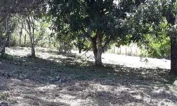 Imagem 4: Vende-se linda chácara próximo ao aeroporto