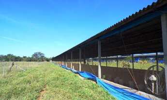 Imagem 2: Sítio 10,0 hectares, 100% plano, casa, barracões, 32 km Uberlândia MG