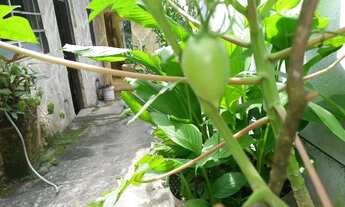 Imagem: Linda chácara para descanso