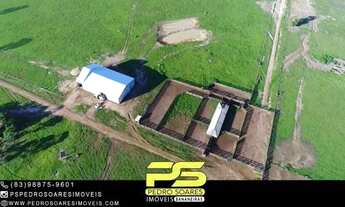 Imagem 5: Fazenda à Venda, 23000 Hec² Por R$ 120.000,00 - Novo Horizonte - Paranatinga/mt