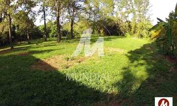 Imagem 6: Chacara (chacara