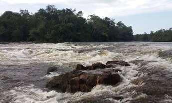 Imagem 3: Sítio no Rio Preto da Eva KM 105 ramal ZF9 Comunidade Cachoeira do rio urubu