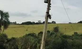 Imagem: Sitio com 1.5 Alqueires em Muzambinho