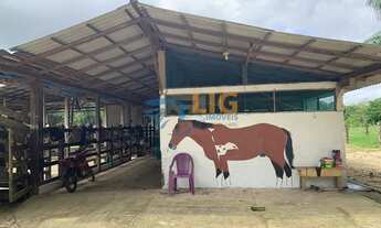 Imagem 3: Fazenda/Sítio/Chácara para venda tem 50000 metros quadrados em centro - Vigia - PA