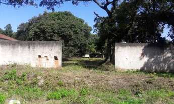 Imagem 5: Area em Pontal do Sul