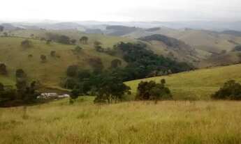 Imagem 5: Sitio de 20 alqueires em Lagoinha, a 700 metros da Rodovia