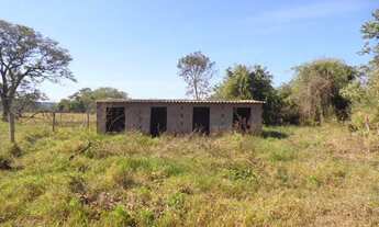 Imagem 7: Sítio 10,0 hectares, 100% plano, casa, barracões, 32 km Uberlândia MG