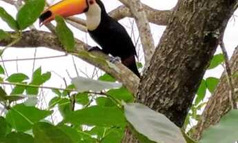 Imagem 6: Casa em Nogueira - Petrópolis/RJ