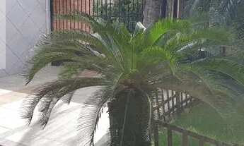 Imagem 2: Casa duplex à venda | Área de lazer | Bairro Dunas