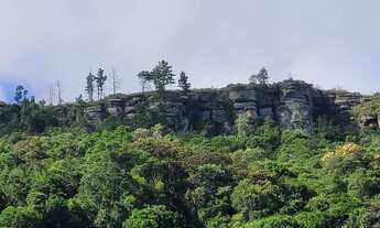 Imagem 2: Chácara à Venda próx. de Campo Largo - PR, Com Casa, Riacho, Energia, Vista Deslumbrante!