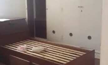 Imagem 5: Casa à venda, 3 quartos, 1 vaga, Centro - Pindamonhangaba/SP