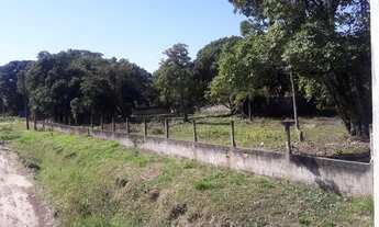 Imagem 2: Area em Pontal do Sul