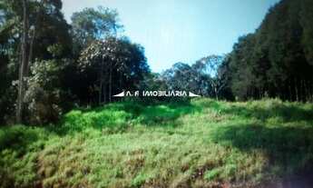 Imagem 3: São Paulo - Terreno Padrão - JARDIM D'ABRIL