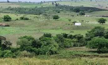 Imagem 3: Fazenda Em Umbauba