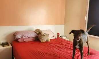 Imagem 2: Apartamento no Condomínio Montana Gardens na City América com 65m² 3 dormitórios 1 suíte