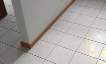 Imagem 7: Apartamento para venda com 50 metros quadrados com 1 quarto em São Luiz - São José - SC