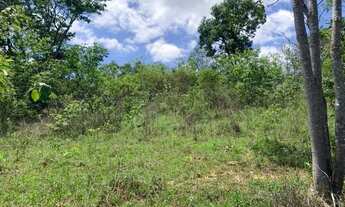 Imagem 7: Terreno rural 7.8ha, casa antiga, barracão, arvores frutíferas, 2 nascentes,2 lagoas, Jab
