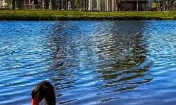 Imagem 4: Vendo Lote no Condomínio Gran Royalle Pirâmide