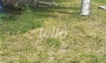 Imagem 2: Terreno null quartos à venda no(a) Vila Bertioga