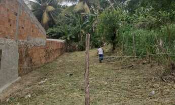 Imagem 3: Terreno Luis Alves 2