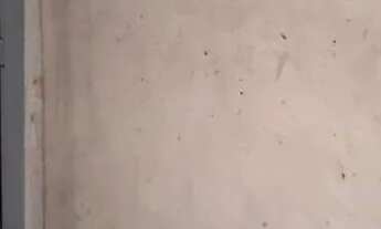 Imagem 6: Reveillon Mosqueiro só 500,00 REAIS cinco dias 5 pessoas