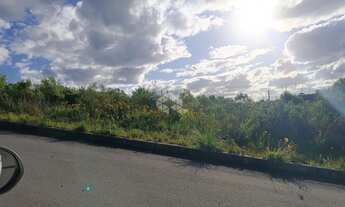 Imagem 5: Terreno à venda no bairro São Giácomo, Caxias do Sul