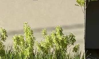 Imagem 2: Vendo Casa $ 550mil condomínio Fenhouse - Região Represa e Damhas Rio Preto