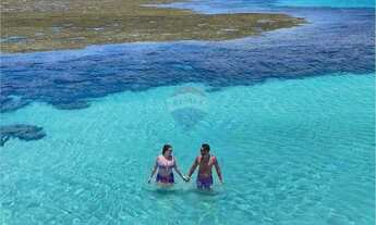 Imagem 6: Terreno em milagres alagoas