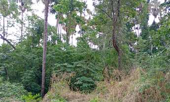 Imagem 4: Vendo ou troco terreno no João de barro