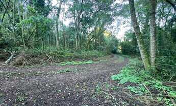 Imagem 5: Sítio Meia/ Hectare - Morro Reuter RS - proximo da tenda umbu Parcela direto