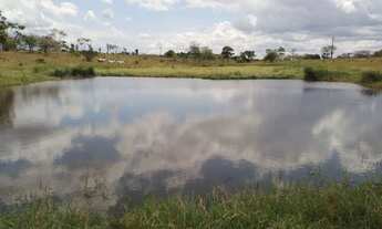 Imagem 6: Excelente fazenda com casa sede, curral, boas aguadas, rio e muito capim , próxima / Feira
