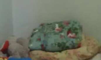 Imagem 4: Casa térrea Flor do Cerrado Valparaíso