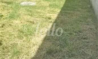 Imagem 6: Terreno null quartos à venda no(a) Vila Bertioga