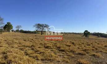 Imagem 6: Chacara 5 Alqueires (24,2 hectares) Piracanjuba - GO