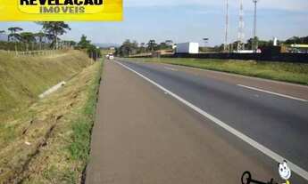 Imagem 3: Fazenda de frente a BR 376 à venda, 2040060 m² - Campina do Rincão - Tijucas do Sul/PR